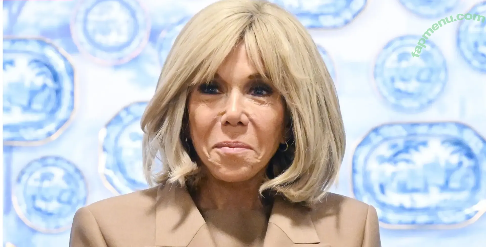 Brigitte Macron nude photo #0006 (Brigitte Macron)