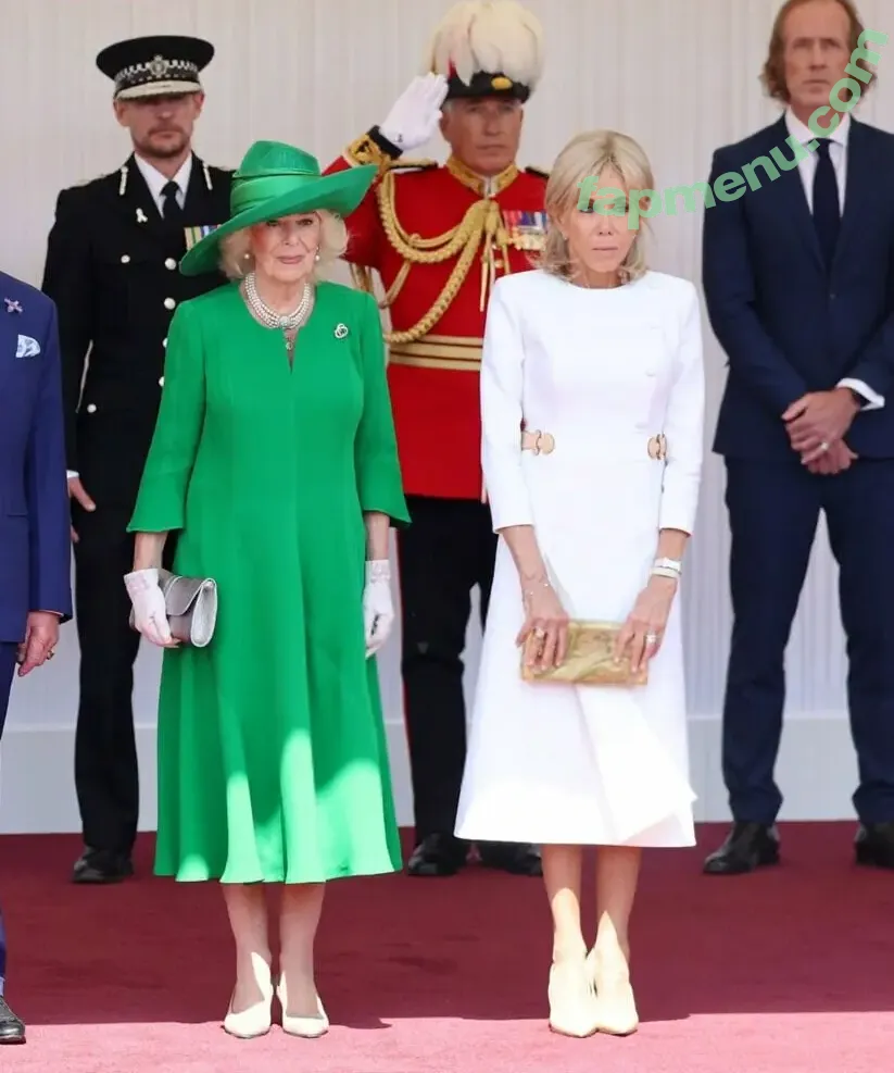 Brigitte Macron nude photo #0009 (Brigitte Macron)