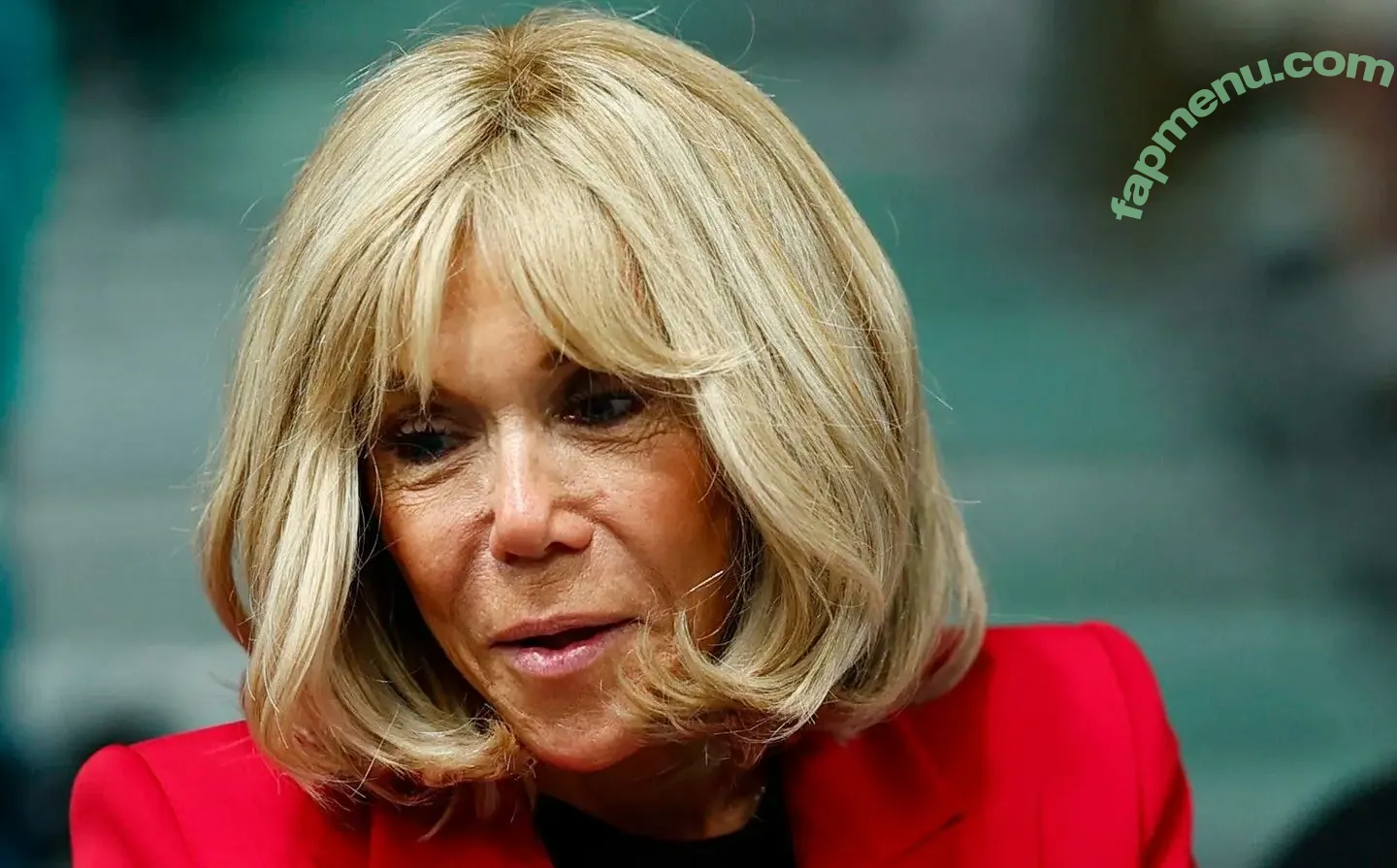 Brigitte Macron nude photo #0012 (Brigitte Macron)
