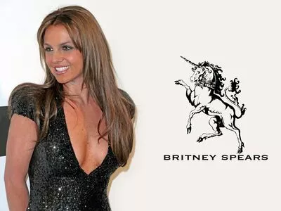 Britney Spears / britneyspears / xoxobritneyj nude photo #3317