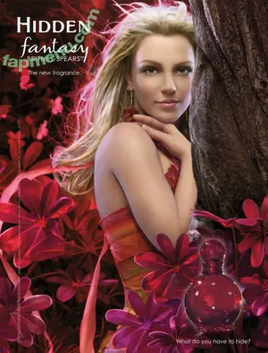 Britney Spears / britneyspears / xoxobritneyj nude photo #4193