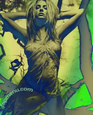 Britney Spears / britneyspears / xoxobritneyj nude photo #4257