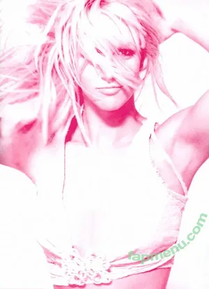 Britney Spears / britneyspears / xoxobritneyj nude photo #4356