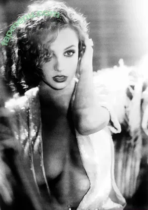 Britney Spears / britneyspears / xoxobritneyj nude photo #4457