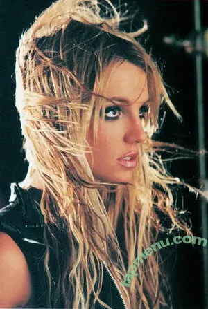 Britney Spears / britneyspears / xoxobritneyj nude photo #4485