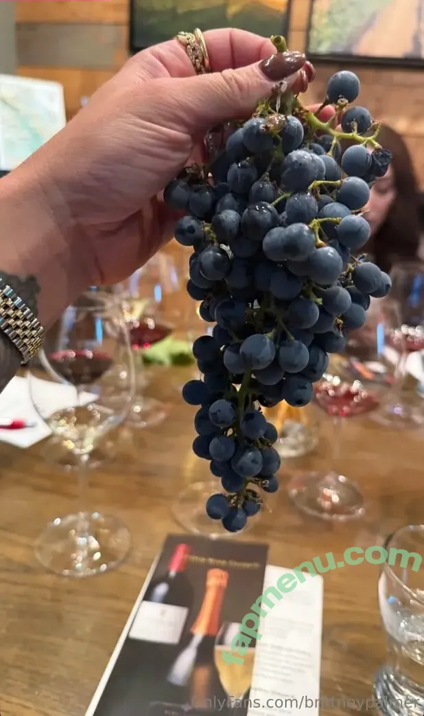 brittneypalmer nude photo #0054 (brittneypalmer)