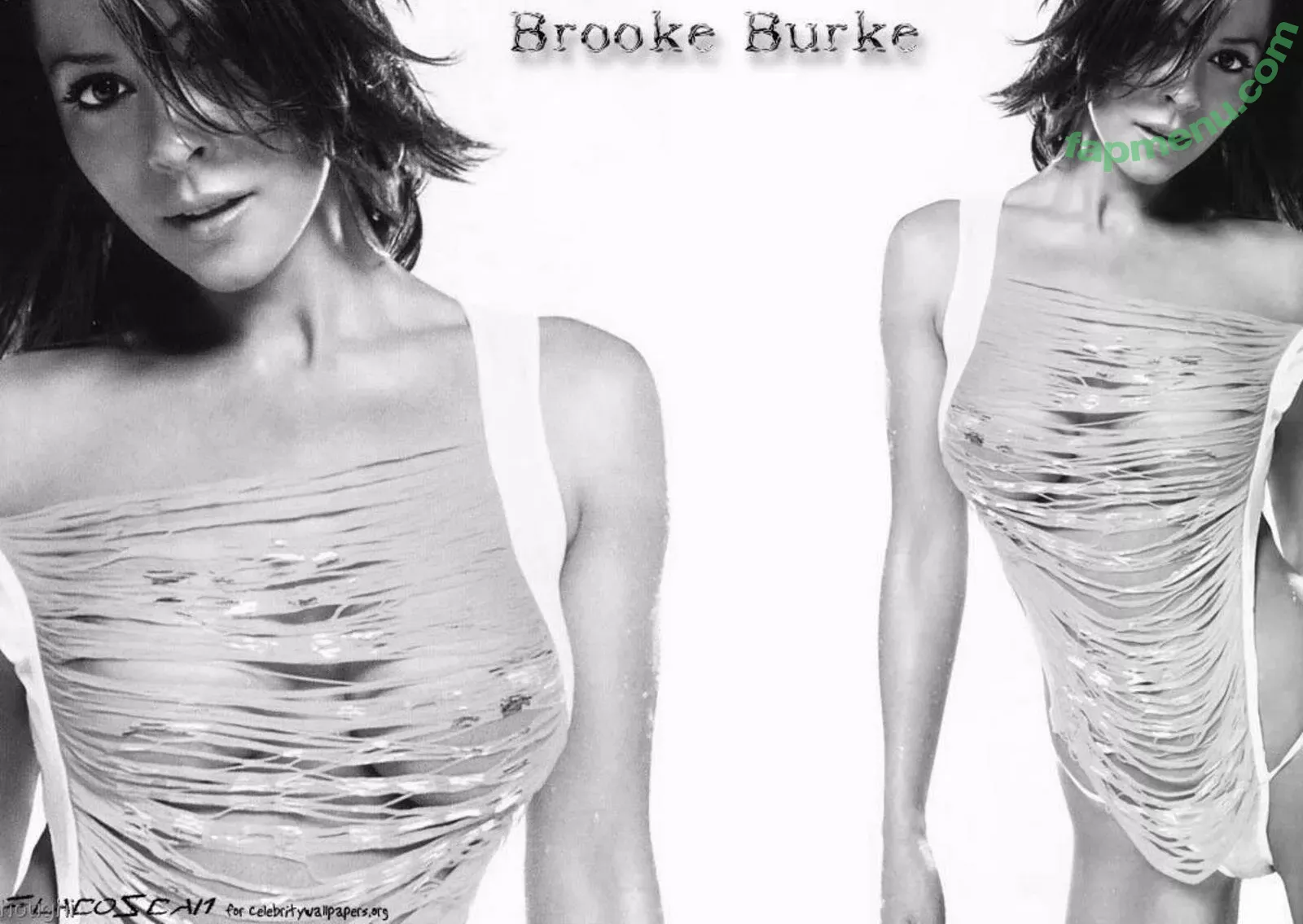 Brooke Burke nude photo #0215 (brookeburke)