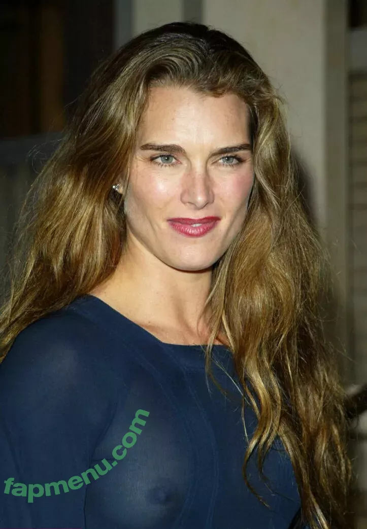 Brooke Shields nude photo #0019 (brookeshields)