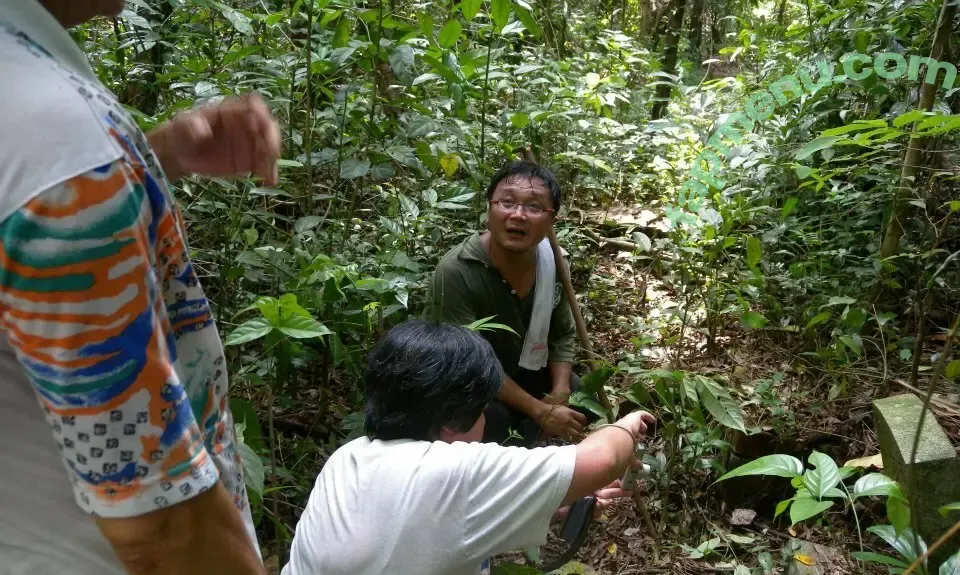 Bukit Brown nude photo #0003 (Bukit Brown)
