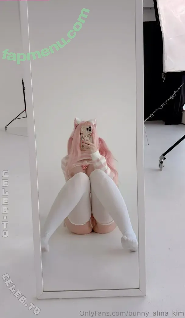 Bunny_Alina_Kim nude photo #0494 (Alina Kim / elflina_kim / ethot_gamer)