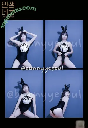 Bunnyyeseul / metabun_ny / 바니예슬 nude photo #0002