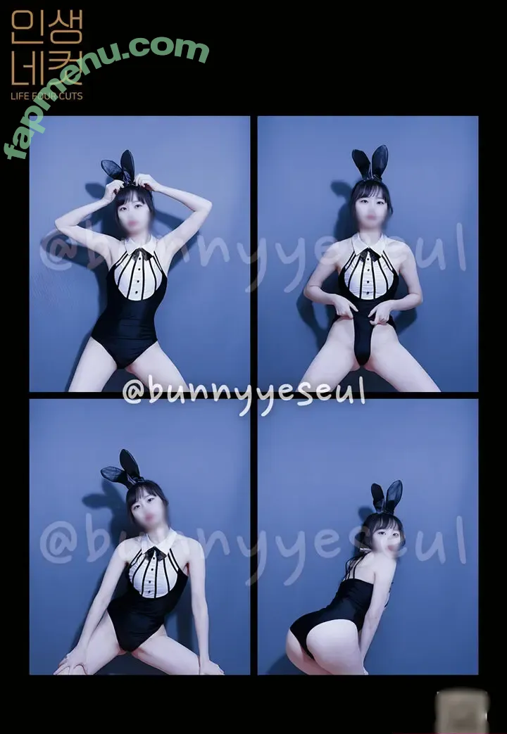 Bunnyyeseul nude photo #0002 (metabun_ny / 바니예슬)