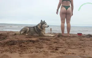 busbuddies / busbuddy41 nude photo #0306