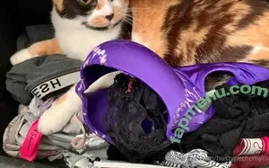 bustypetitemyra / Myra nude photo #0129