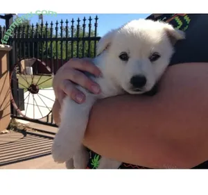 bustyybriiix / _brianamartinn nude photo #0005