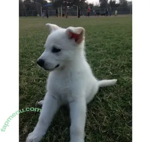 bustyybriiix / _brianamartinn nude photo #0008