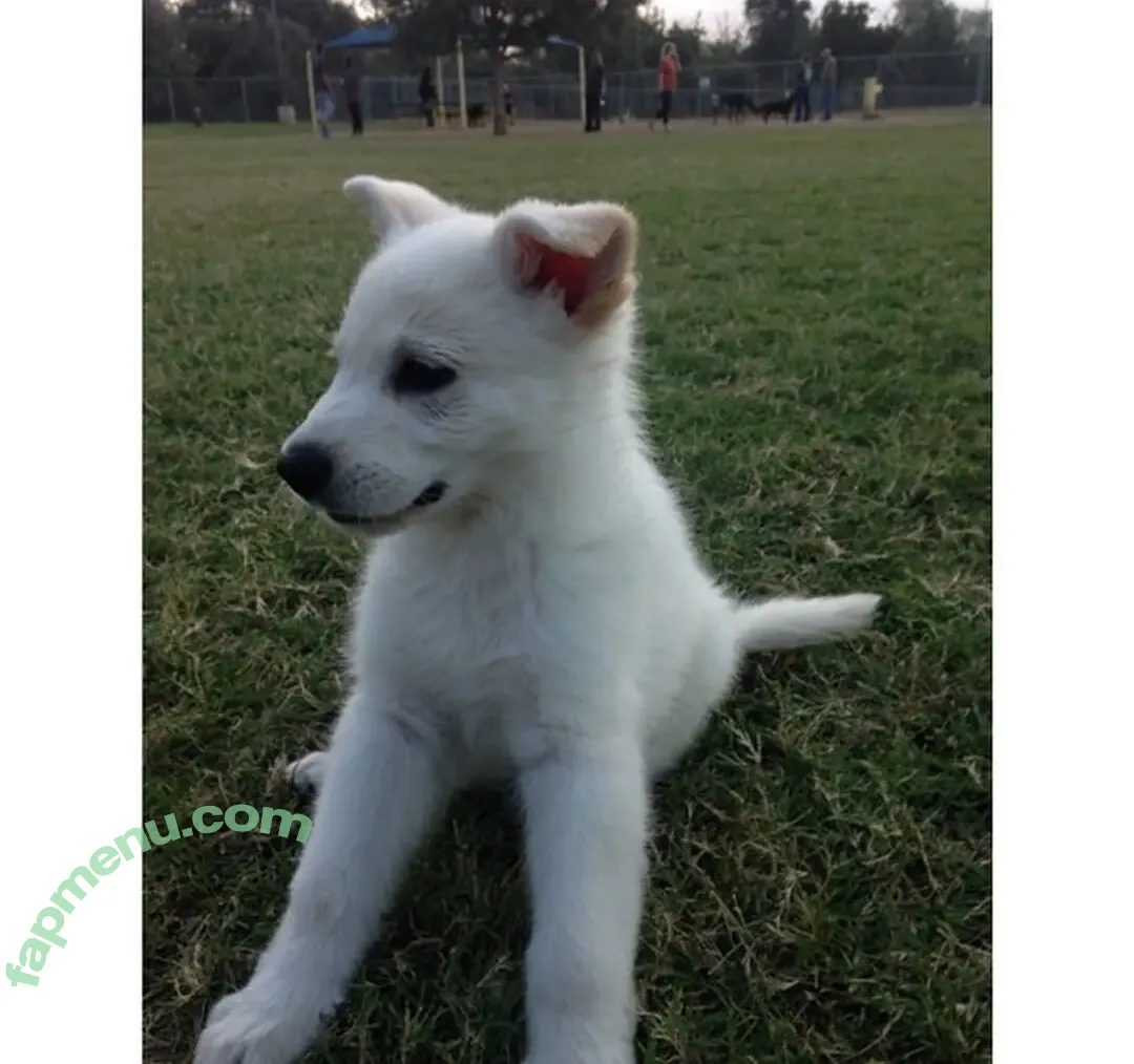 bustyybriiix nude photo #0008 (_brianamartinn)