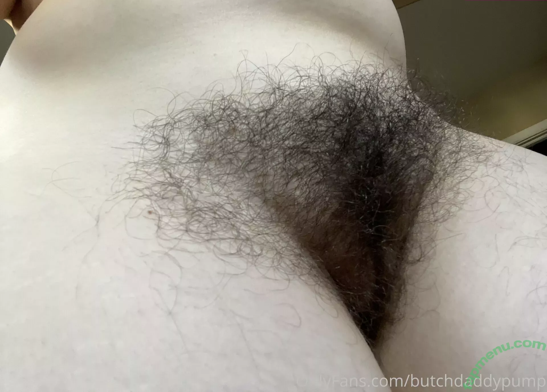 butchdaddypump nude photo #0032 (butchdawglb)