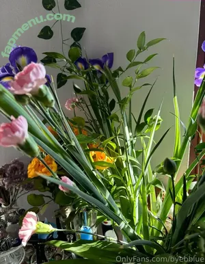 byebblue / _bbblue nude photo #0004