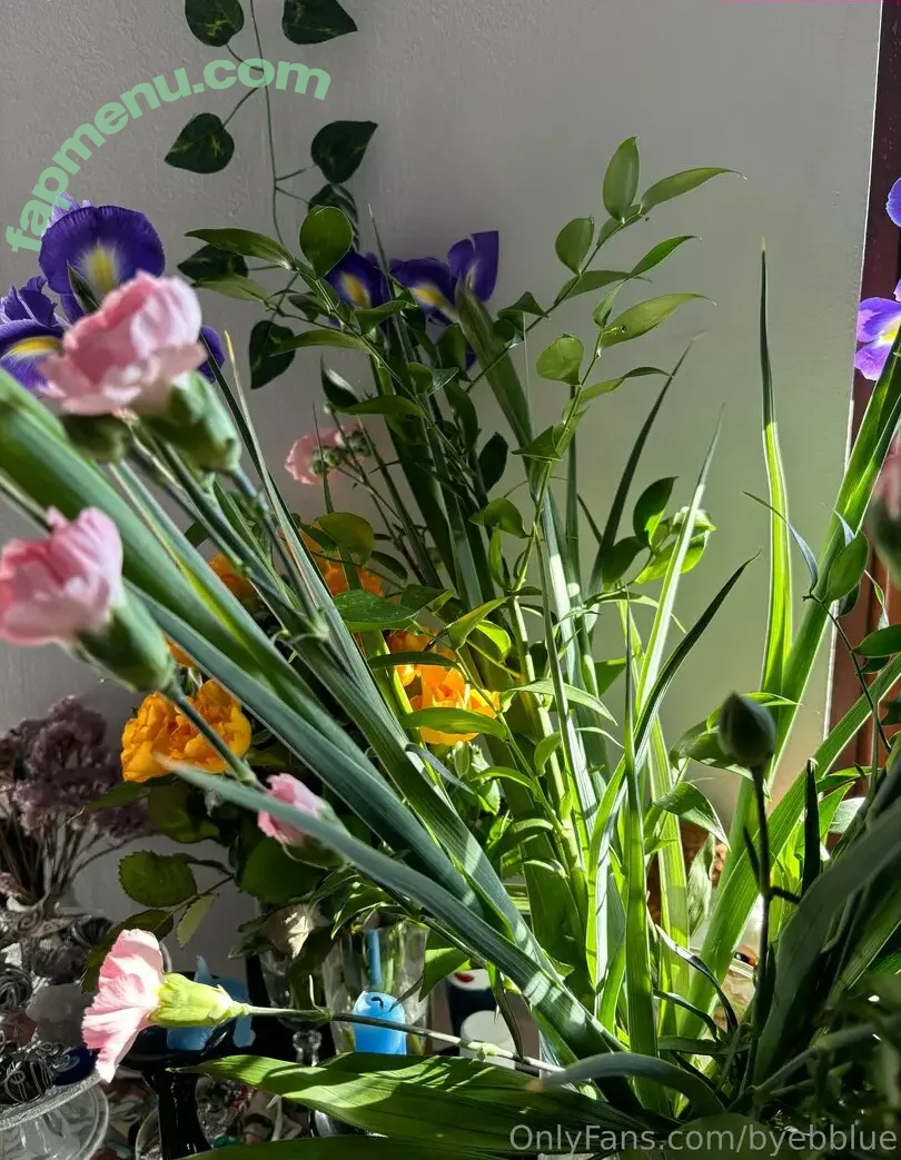 byebblue nude photo #0004 (_bbblue)