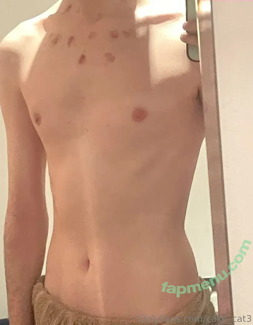 cake_cat3 nude photo #0001 (cat_cakes03)