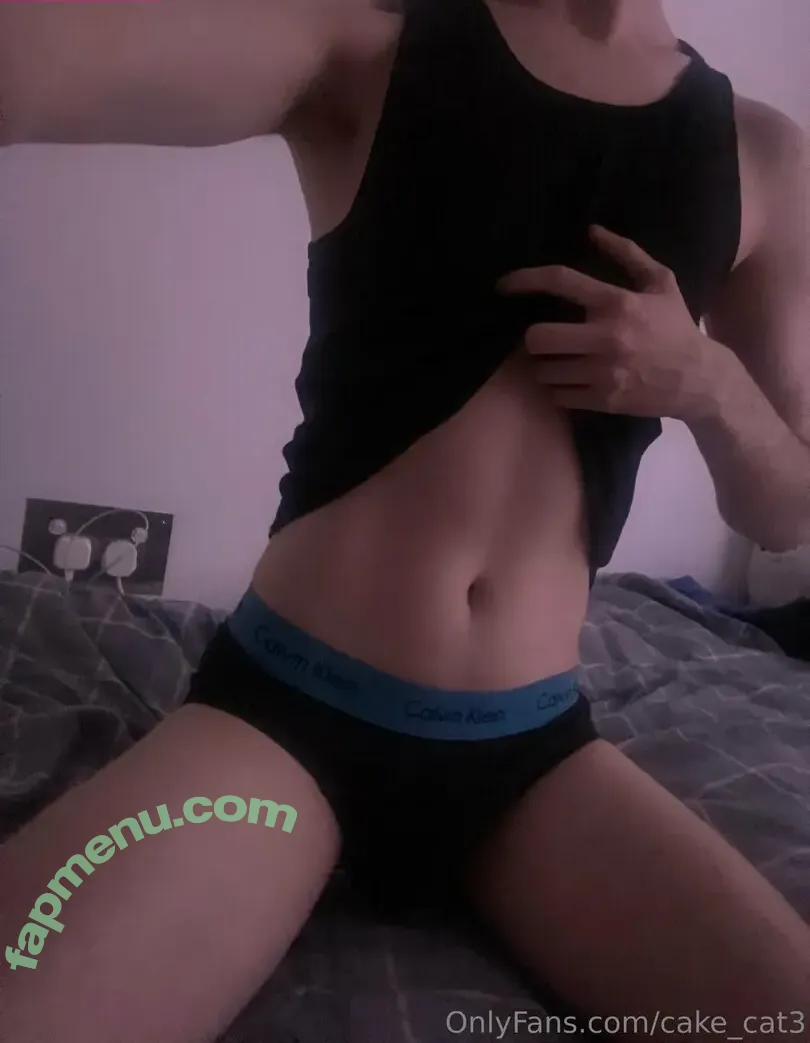 cake_cat3 nude photo #0003 (cat_cakes03)