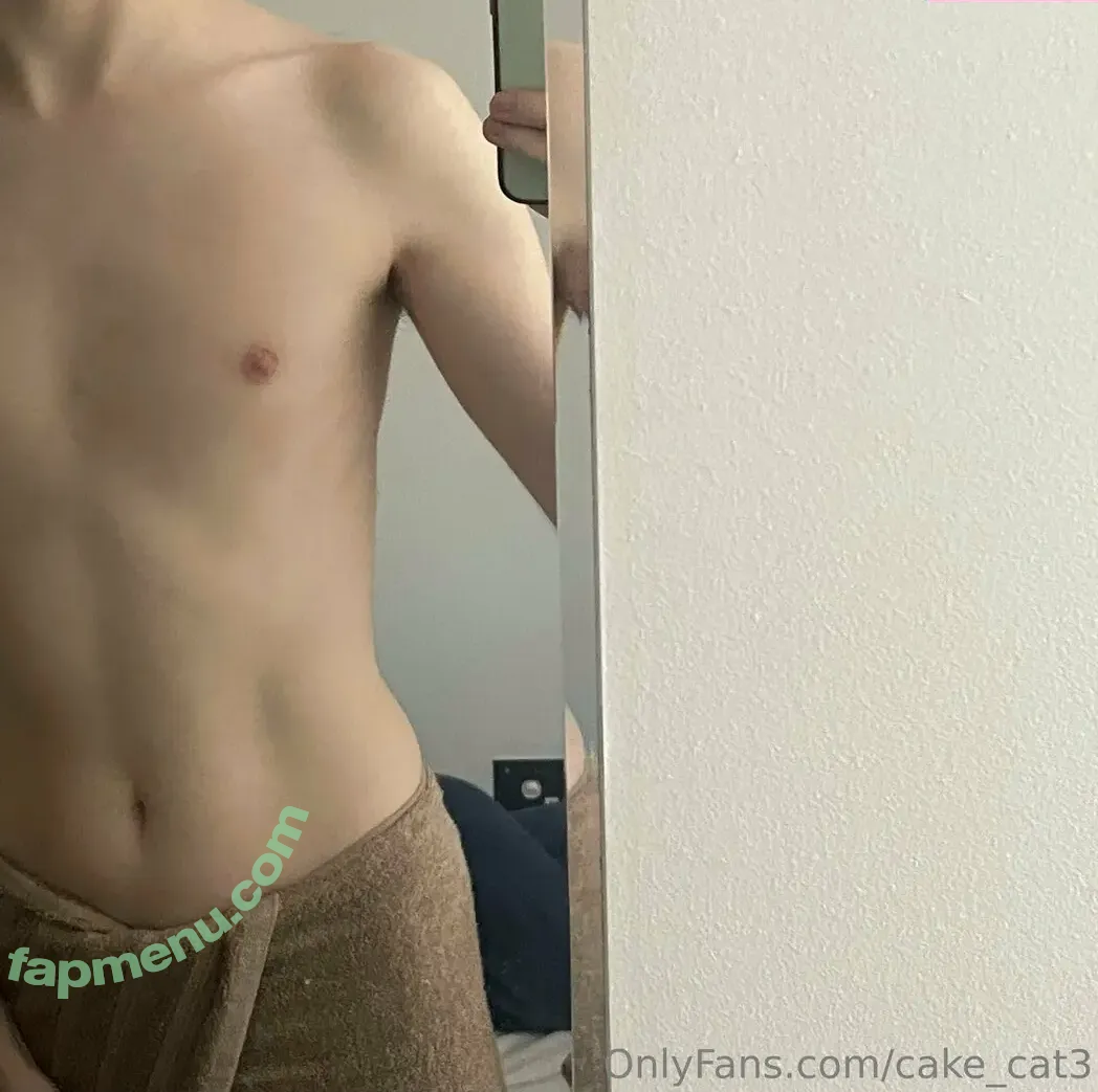 cake_cat3 nude photo #0020 (cat_cakes03)