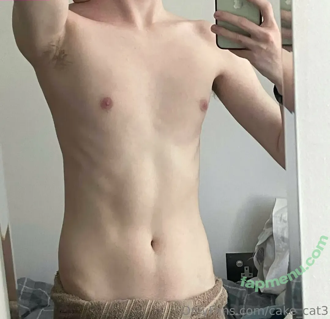 cake_cat3 nude photo #0029 (cat_cakes03)