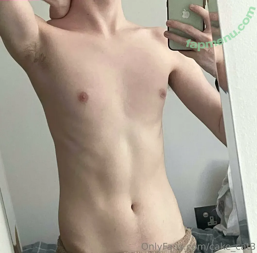 cake_cat3 nude photo #0030 (cat_cakes03)