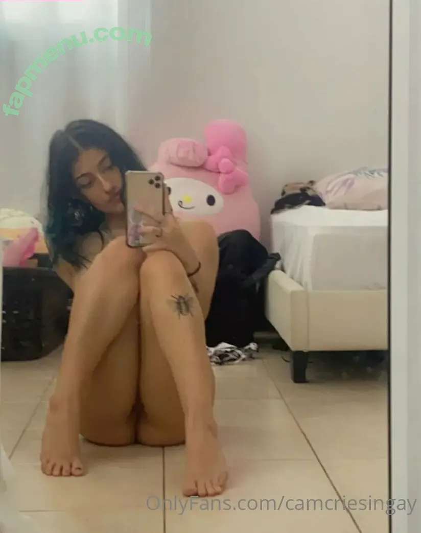 Camcriesingay nude photo #0001 (Camcriesincum / camisjustvibing)
