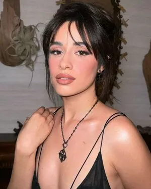 Camila Cabello / Camila_Cabello / iamgabrielaung nude photo #4321