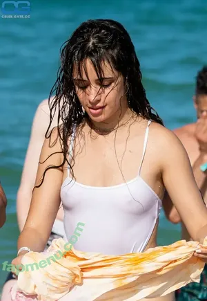 Camila Cabello / Camila_Cabello / iamgabrielaung nude photo #4625