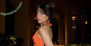 Camila Cabello / Camila_Cabello / iamgabrielaung nude photo #4961