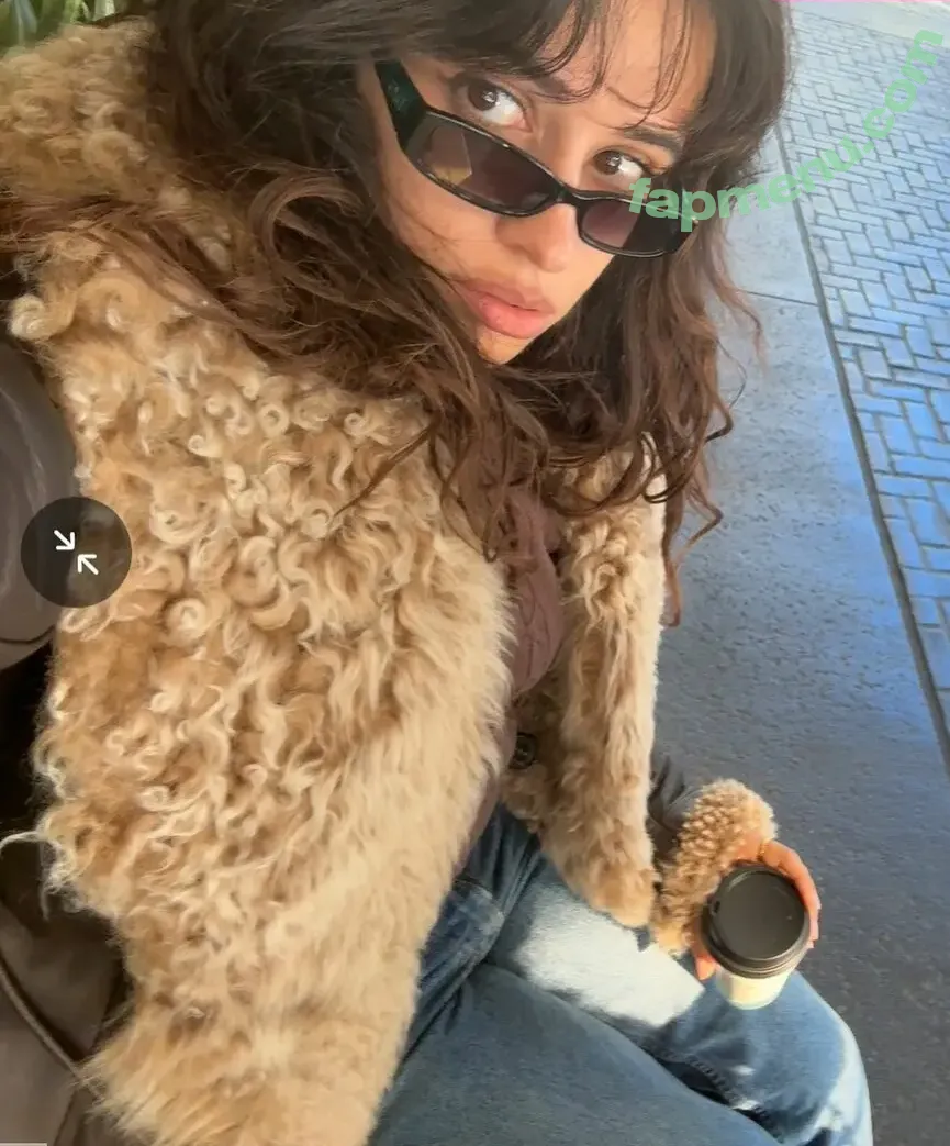 Camila Cabello nude photo #4995 (Camila_Cabello / camilacabello / iamgabrielaung)