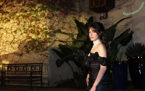 Camila Cabello / Camila_Cabello / camilacabello / iamgabrielaung nude photo #5001