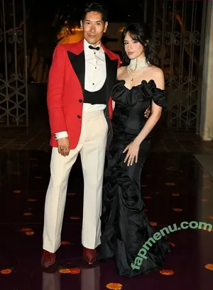 Camila Cabello / Camila_Cabello / camilacabello / iamgabrielaung nude photo #5002