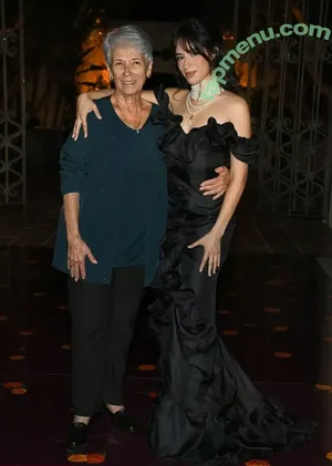 Camila Cabello / Camila_Cabello / camilacabello / iamgabrielaung nude photo #5005