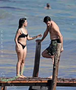 Camila Cabello / Camila_Cabello / camilacabello / iamgabrielaung nude photo #5083