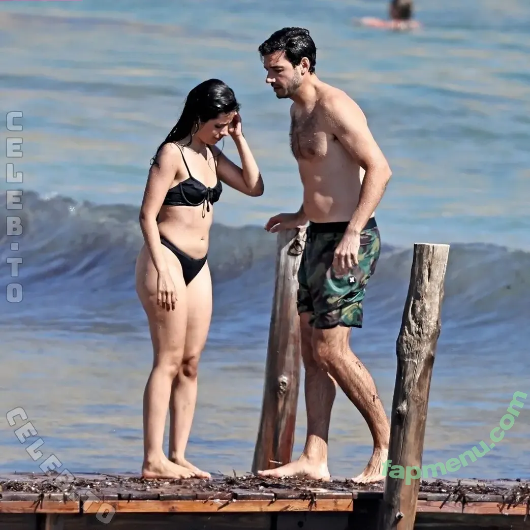 Camila Cabello nude photo #5084 (Camila_Cabello / camilacabello / iamgabrielaung)