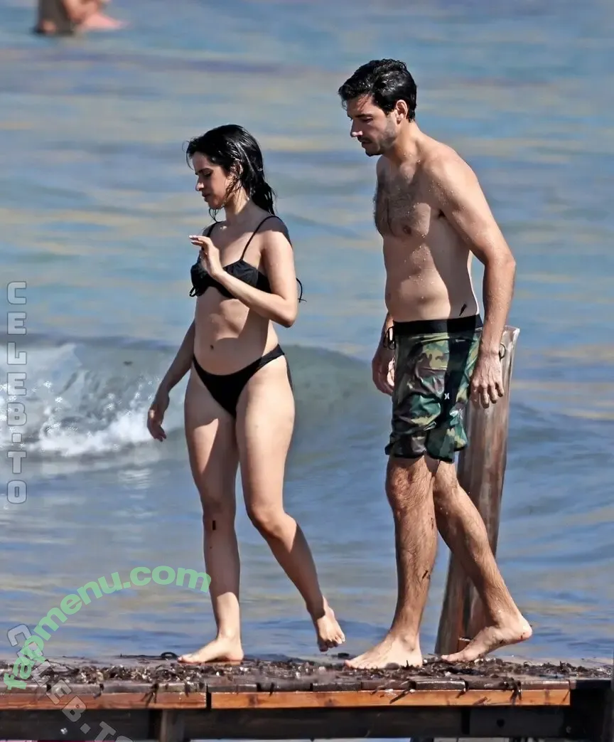 Camila Cabello nude photo #5087 (Camila_Cabello / camilacabello / iamgabrielaung)