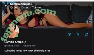 camilla.araujo / realcamillaara / thefanvan nude photo #0067
