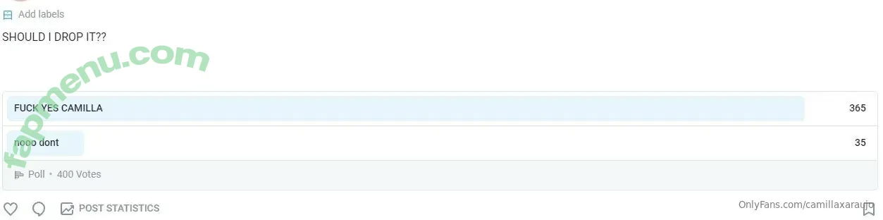 camillaxaraujo nude photo #0003 (realcamillaara)