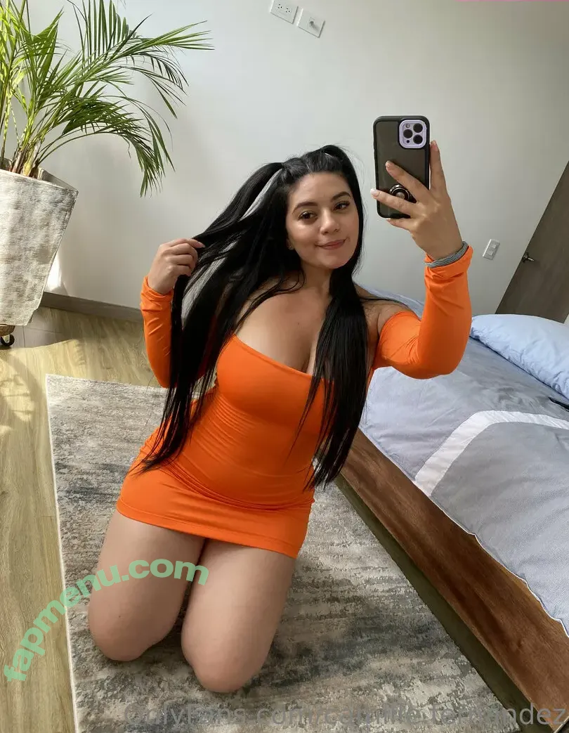 camille.fernandez nude photo #0055 (camillefrz)