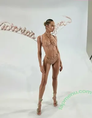 Candice Swanepoel / candiceswanepoel nude photo #0567