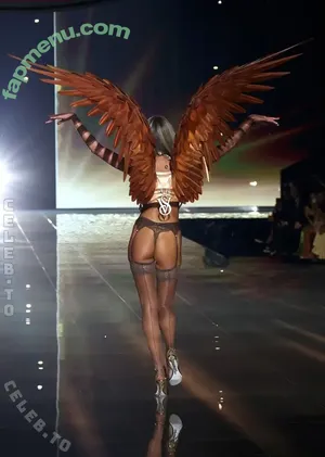 Candice Swanepoel / angelcandice / angelcandices / candiceswanepoel nude photo #0732