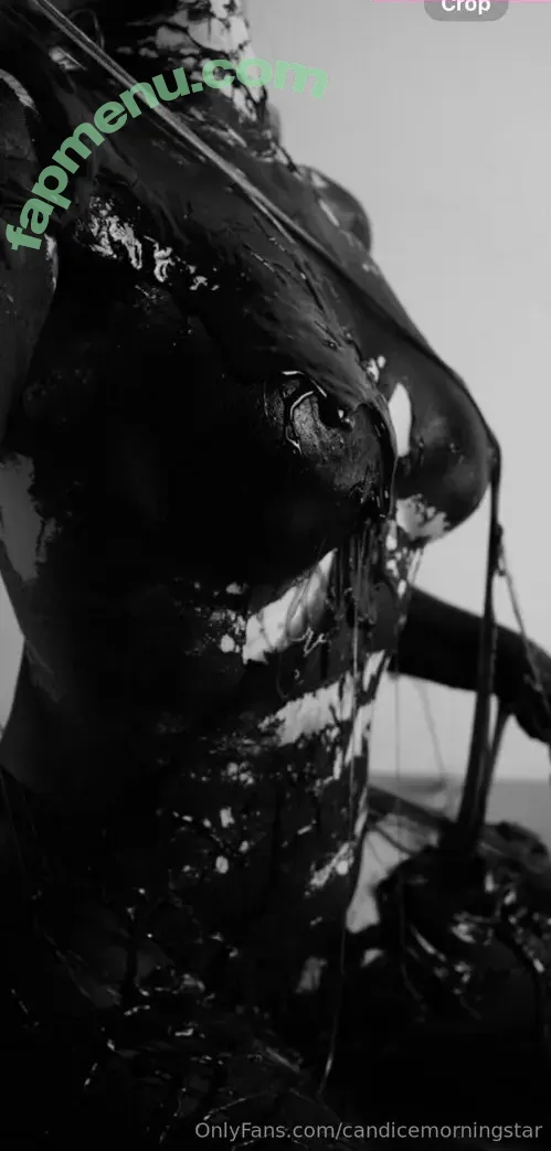 candicemorningstar nude photo #0041 (candice.morningstar)