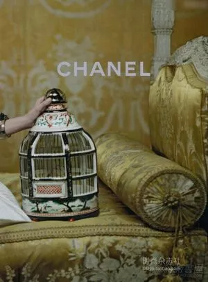 Cara Delevingne / CaraDelevingneOfficialPage / caradelevingne nude photo #1770