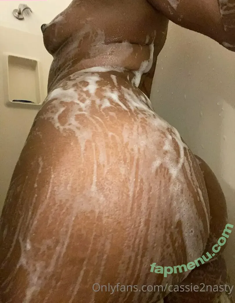 cassietoonasty nude photo #0010 (cassietoonastypt2)