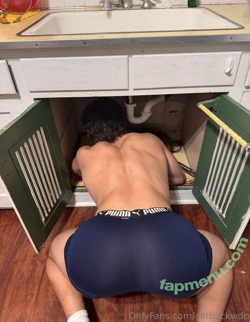 catbackwdp nude photo #0014 (reel)