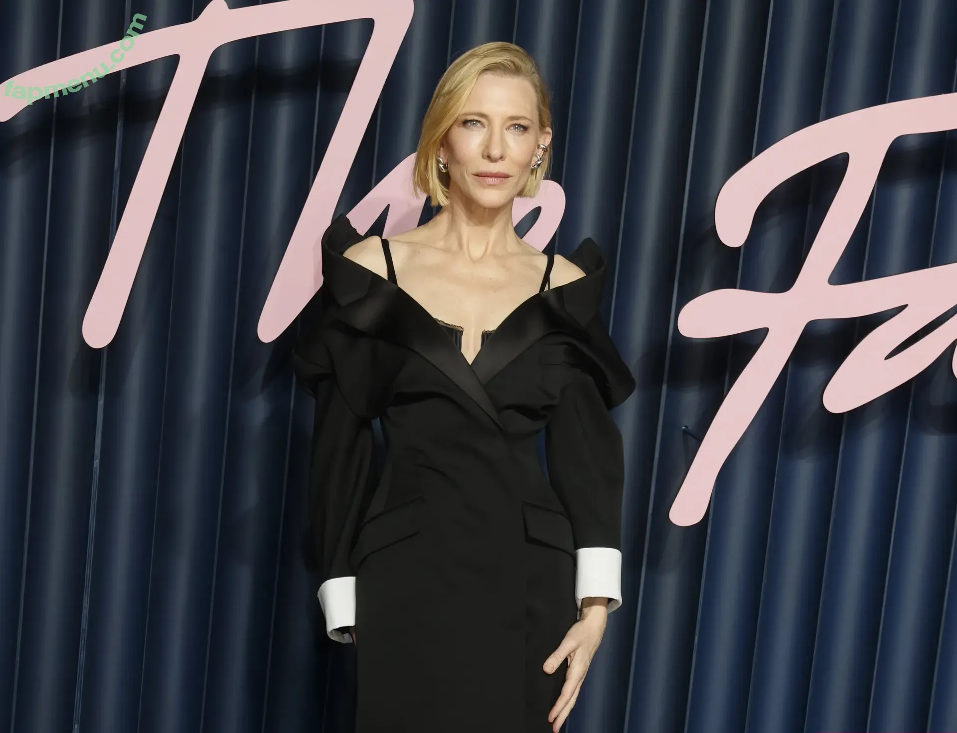 Cate Blanchett nude photo #0435 (cate_blanchettofficial)